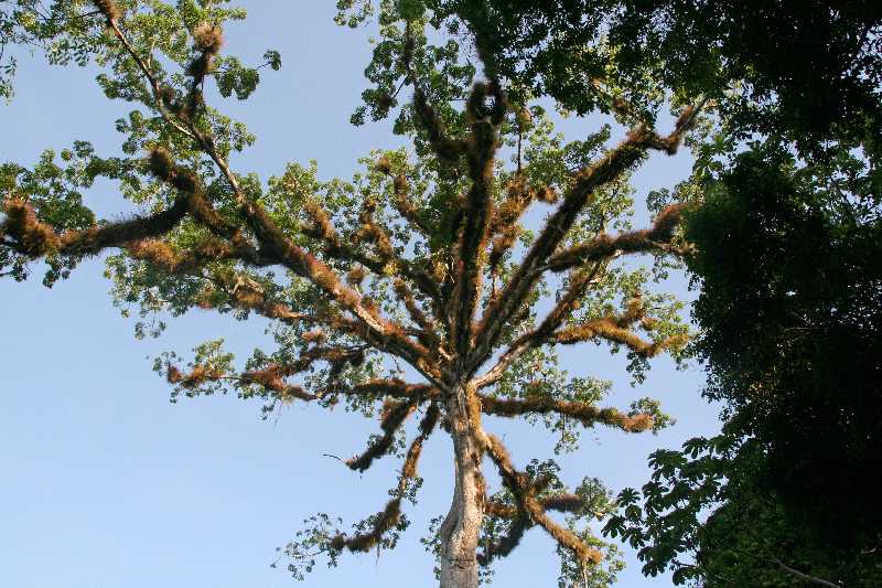 Mexico & Guatemala 2010 - 1051